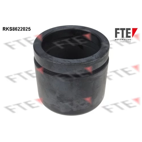 Piest brzdového strmeňa FTE RKS8622025