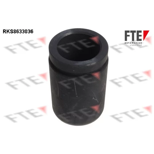 Piest brzdového strmeňa FTE RKS8633036