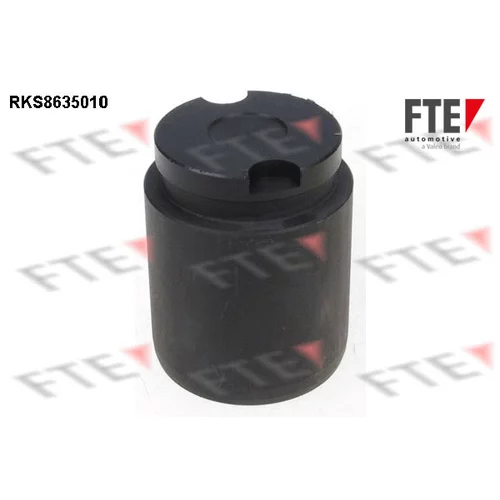 Piest brzdového strmeňa FTE RKS8635010