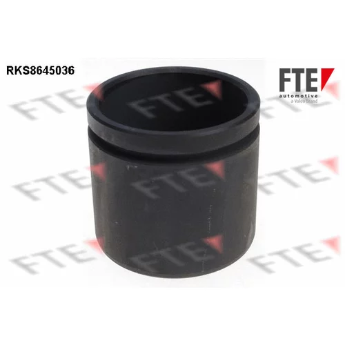 Piest brzdového strmeňa FTE RKS8645036