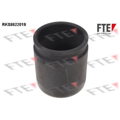 Piest brzdového strmeňa FTE RKS8622019