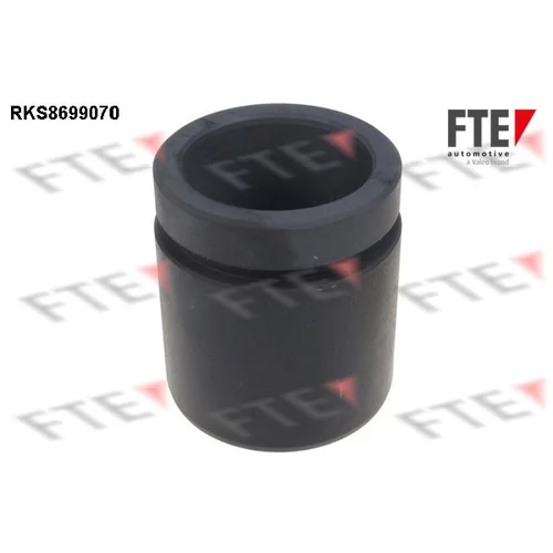 Piest brzdového strmeňa FTE RKS8699070