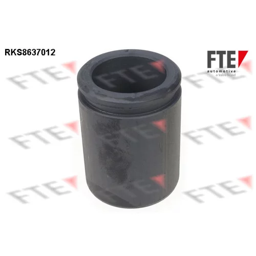 Piest brzdového strmeňa FTE RKS8637012