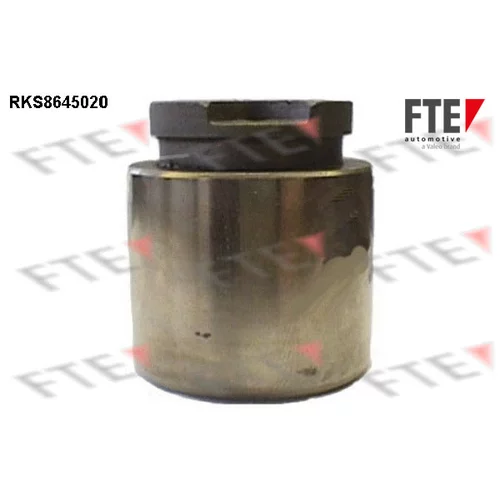 Piest brzdového strmeňa FTE RKS8645020