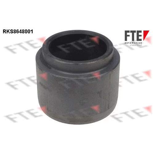 Piest brzdového strmeňa FTE RKS8648001