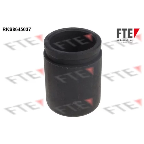 Piest brzdového strmeňa FTE RKS8645037