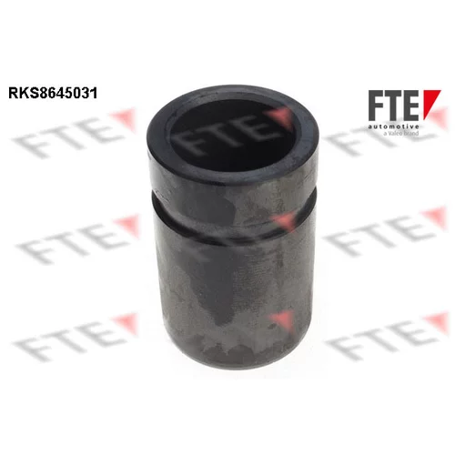 Piest brzdového strmeňa FTE RKS8645031