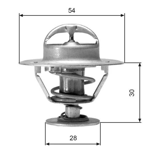 Termostat chladenia GATES TH02491G1