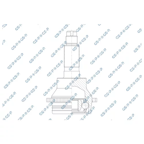 Sada kĺbov hnacieho hriadeľa GSP 802824