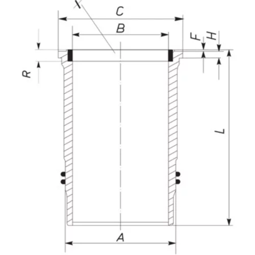 Vložka valcov MAHLE 005 WN 10 00 - obr. 1