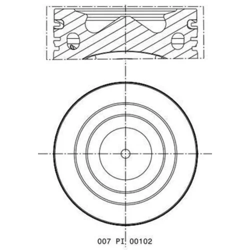 Piest MAHLE 007 PI 00102 000