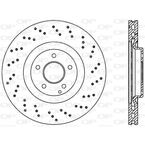 Brzdový kotúč OPEN PARTS BDRS2079.25