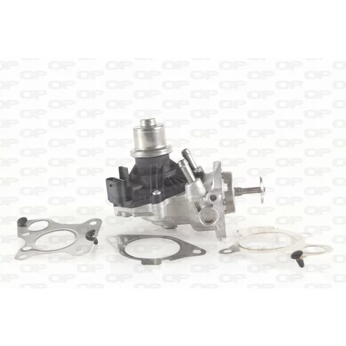 EGR ventil OPEN PARTS EGR3009.00