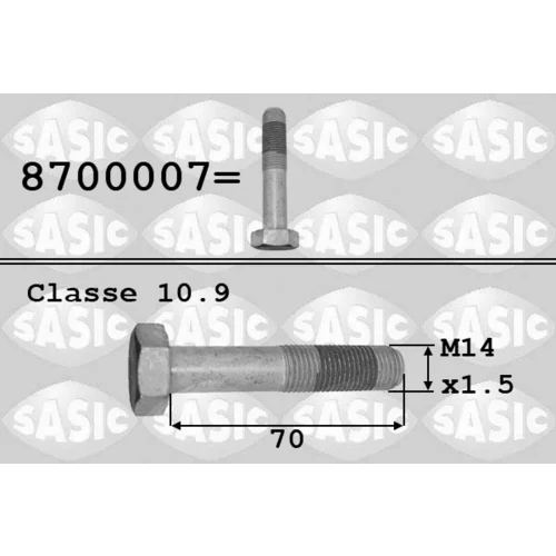 Skrutka remenice SASIC 8700007