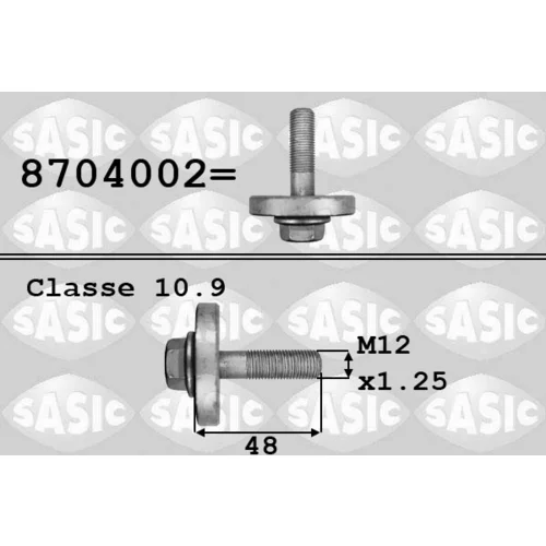 Skrutka remenice SASIC 8704002