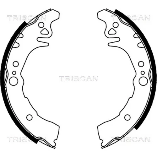 Sada brzdových čeľustí TRISCAN 8100 10026