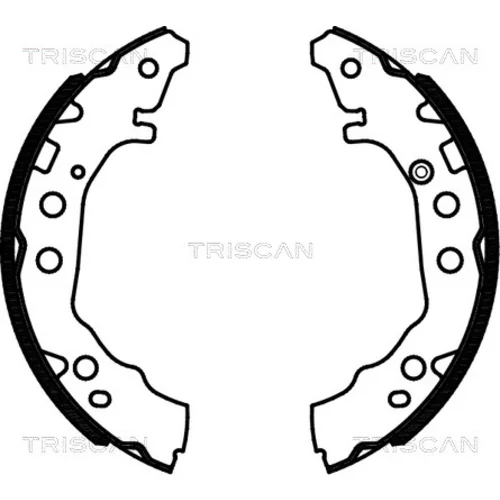 Sada brzdových čeľustí TRISCAN 8100 13052