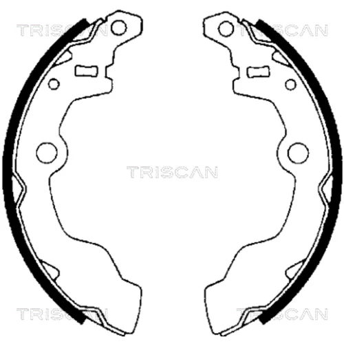 Sada brzdových čeľustí TRISCAN 8100 69002