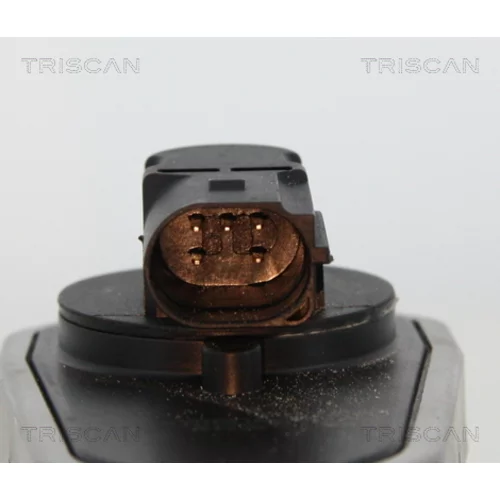 EGR ventil TRISCAN 8813 10002 - obr. 1