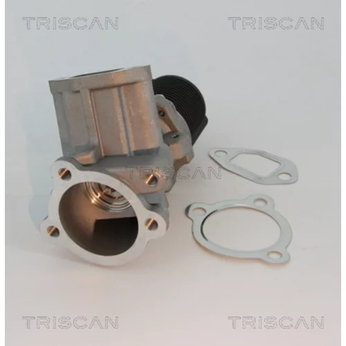 EGR ventil TRISCAN 8813 10003 - obr. 2