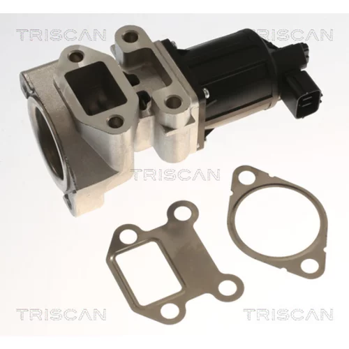 EGR ventil TRISCAN 8813 24018 - obr. 1