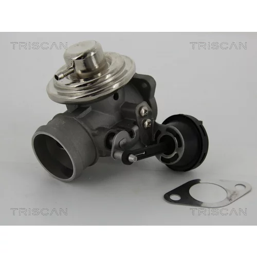 EGR ventil TRISCAN 8813 29057 - obr. 2