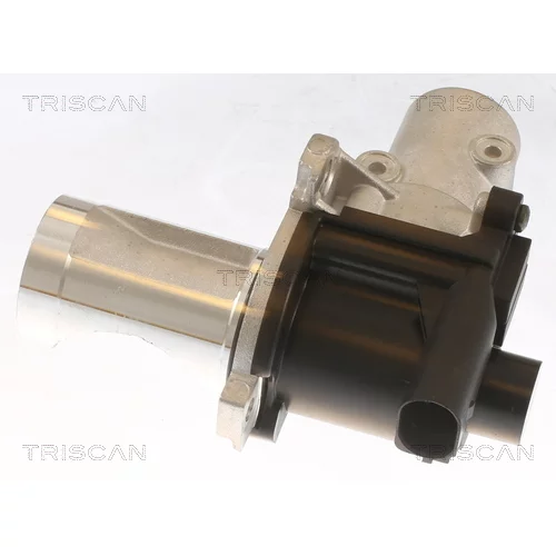 EGR ventil 8813 29101 /TRISCAN/ - obr. 2