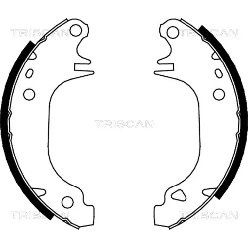 Sada brzdových čeľustí TRISCAN 8100 10372