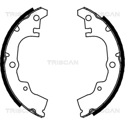 Sada brzdových čeľustí TRISCAN 8100 41414