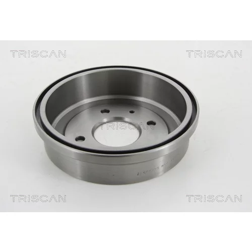 Brzdový bubon 8120 42209 /TRISCAN/ - obr. 1