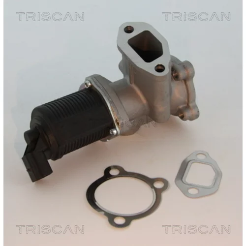 EGR ventil TRISCAN 8813 10003