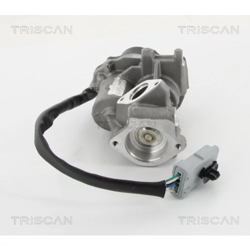 EGR ventil TRISCAN 8813 10202 - obr. 2