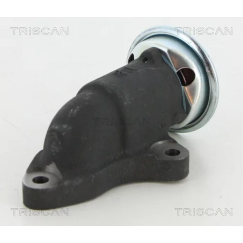 EGR ventil TRISCAN 8813 13064 - obr. 1