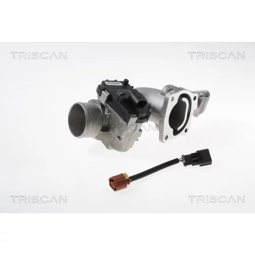 EGR ventil TRISCAN 8813 15100