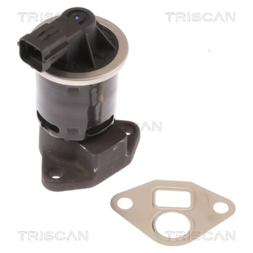 EGR ventil TRISCAN 8813 21004