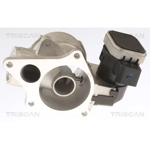 EGR ventil TRISCAN 8813 23033 - obr. 2