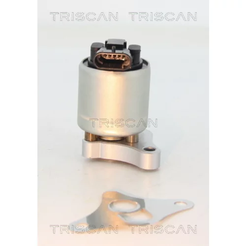 EGR ventil 8813 24002 /TRISCAN/ - obr. 1