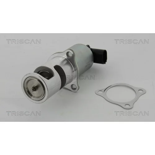 EGR ventil TRISCAN 8813 24037