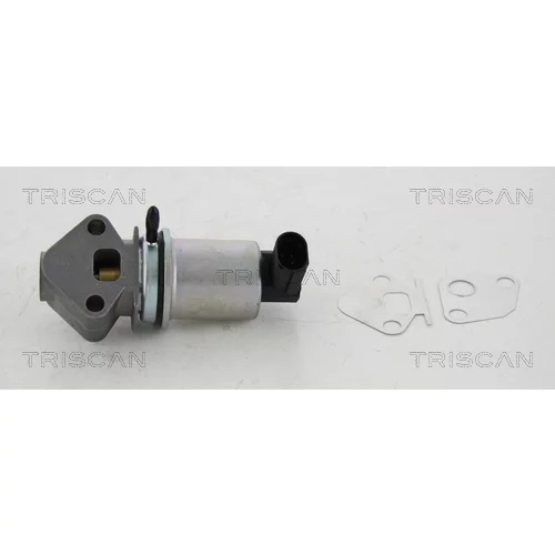 EGR ventil TRISCAN 8813 29024