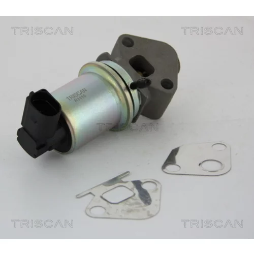 EGR ventil TRISCAN 8813 29024 - obr. 2