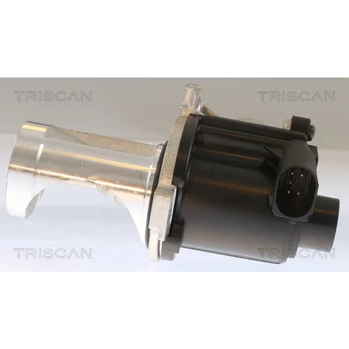 EGR ventil 8813 29101 /TRISCAN/ - obr. 1