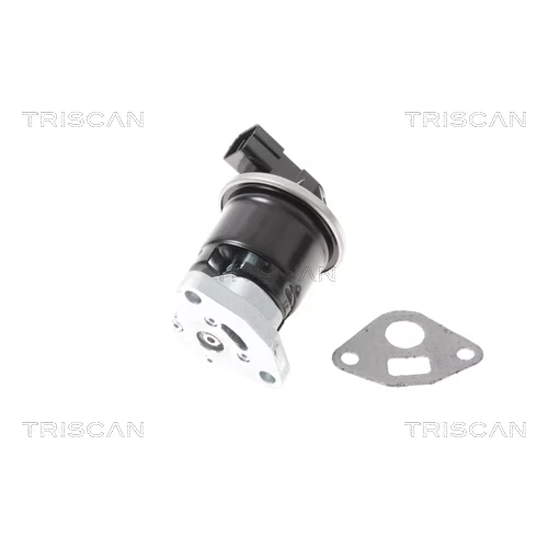 EGR ventil TRISCAN 8813 40013 - obr. 2