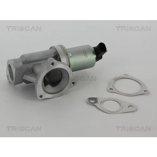 EGR ventil 8813 43002 /TRISCAN/ - obr. 2