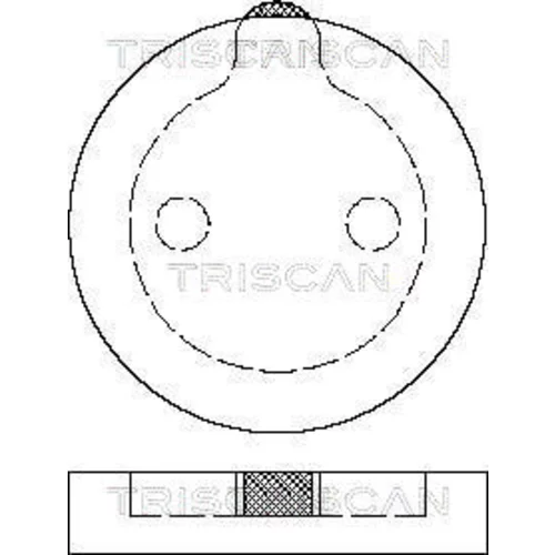 Sada brzdových platničiek kotúčovej brzdy TRISCAN 8110 38786