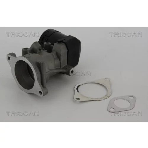 EGR ventil TRISCAN 8813 10001 - obr. 2