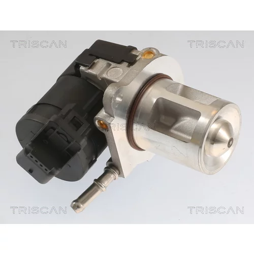 EGR ventil TRISCAN 8813 23040