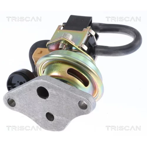 EGR ventil TRISCAN 8813 24025