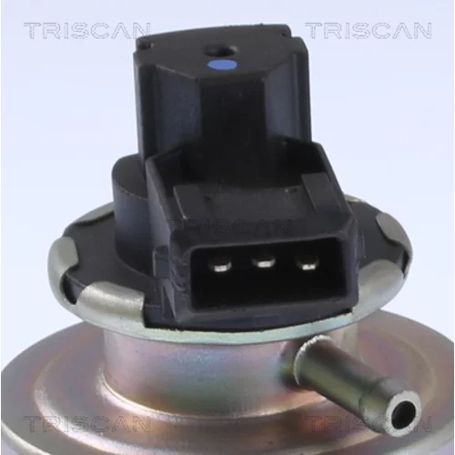 EGR ventil 8813 24203 /TRISCAN/ - obr. 1