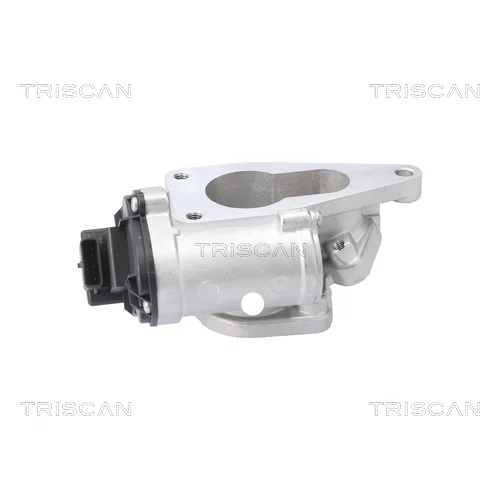 EGR ventil TRISCAN 8813 25201 - obr. 1