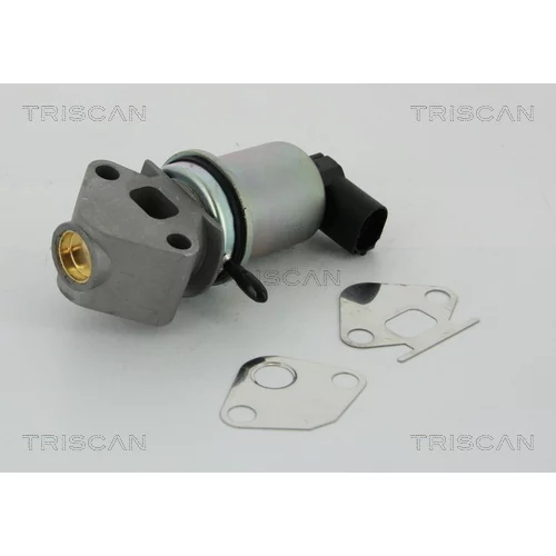 EGR ventil TRISCAN 8813 29004 - obr. 2